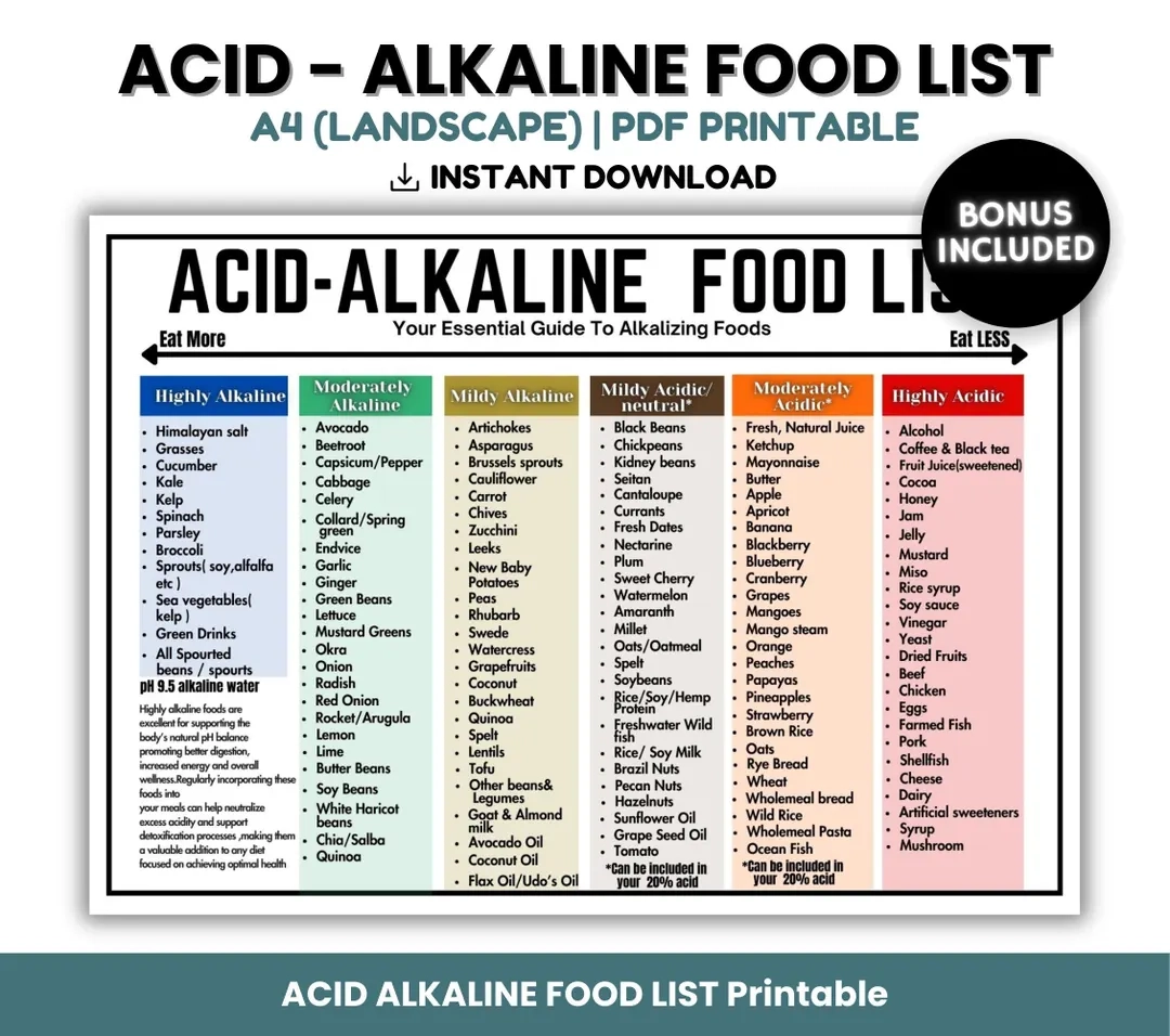 Alkaline List Acid Alkaline Food Chart Acid Reflux Grocery List For Gut Health Grocery List Stomach Cancer Gastritis GERD Diet List Etsy Israel