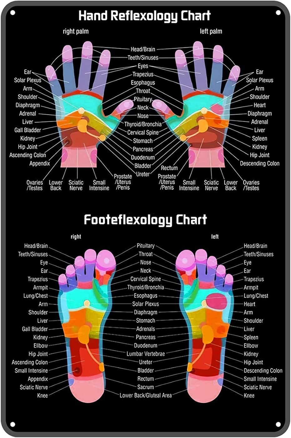 Amazon Hand Reflexology Chart Metal Tin Sign 8x12 Inch Vintage Retro Sign Decor For House Bar Pub Bedroom Bathroom Plaque Poster Wall Art Sign Posters Prints