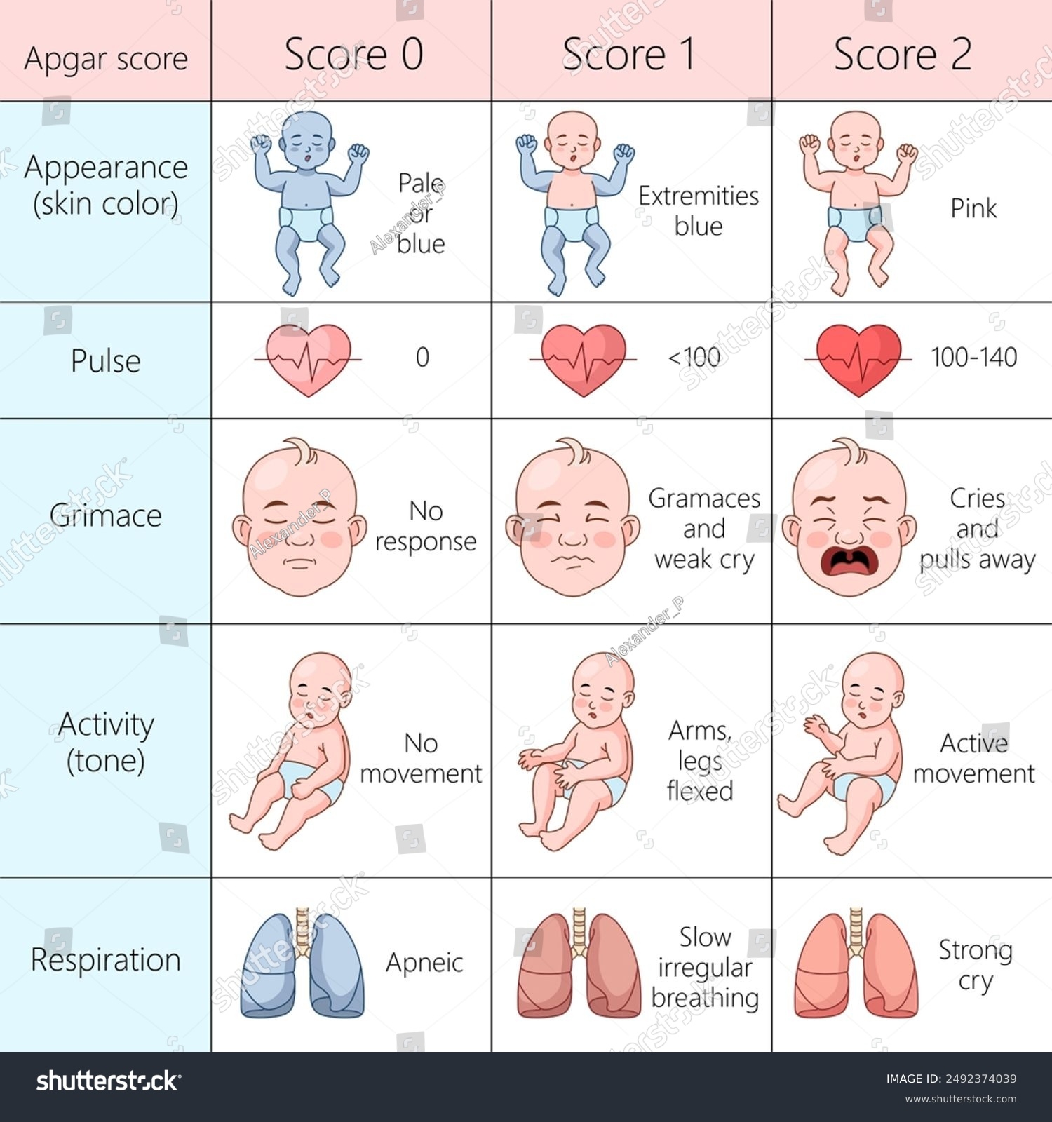 Apgar Score Chart Printable