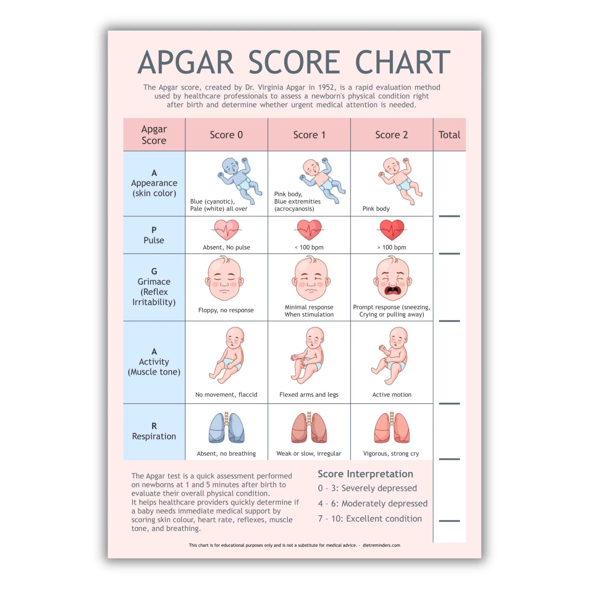 Apgar Score Chart Newborn Health Assessment Tool PDF Digital Download A4 Size Etsy UK