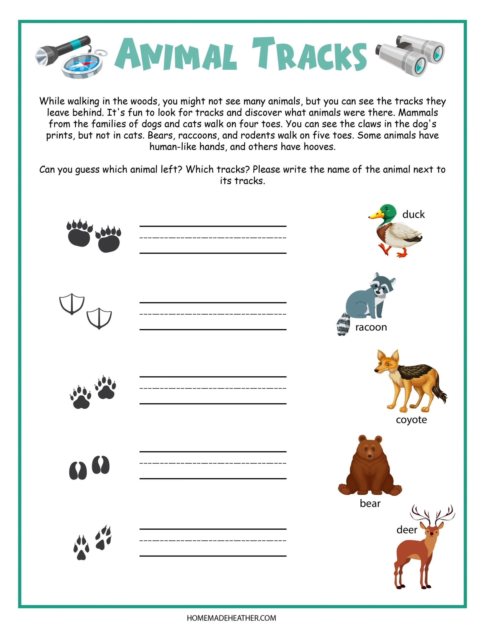 Camping Worksheets Printables