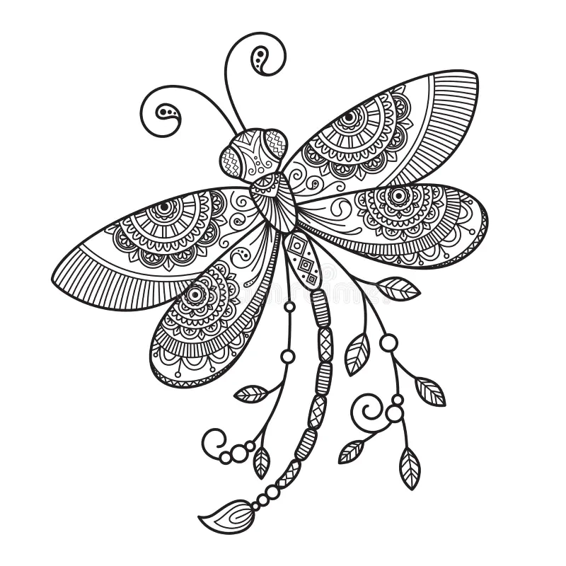 Coloring Page Dragonfly Stock Illustrations 886 Coloring Page Dragonfly Stock Illustrations Vectors Clipart Dreamstime
