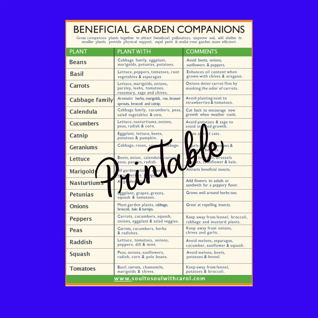 Vegetable Companion Planting Chart Printable