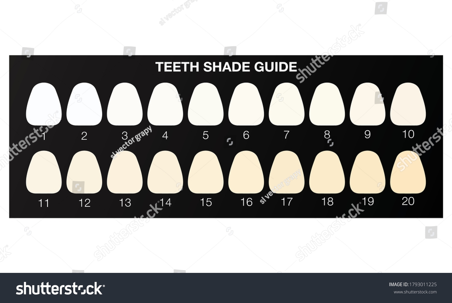 Dental Tooth Shade Chart Printable
