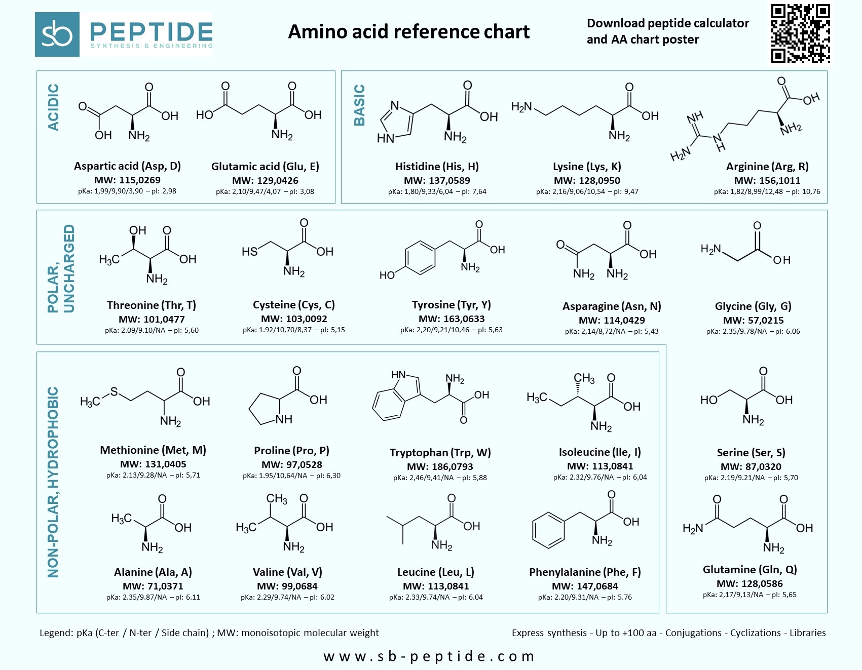 Printable Amino Acids Chart