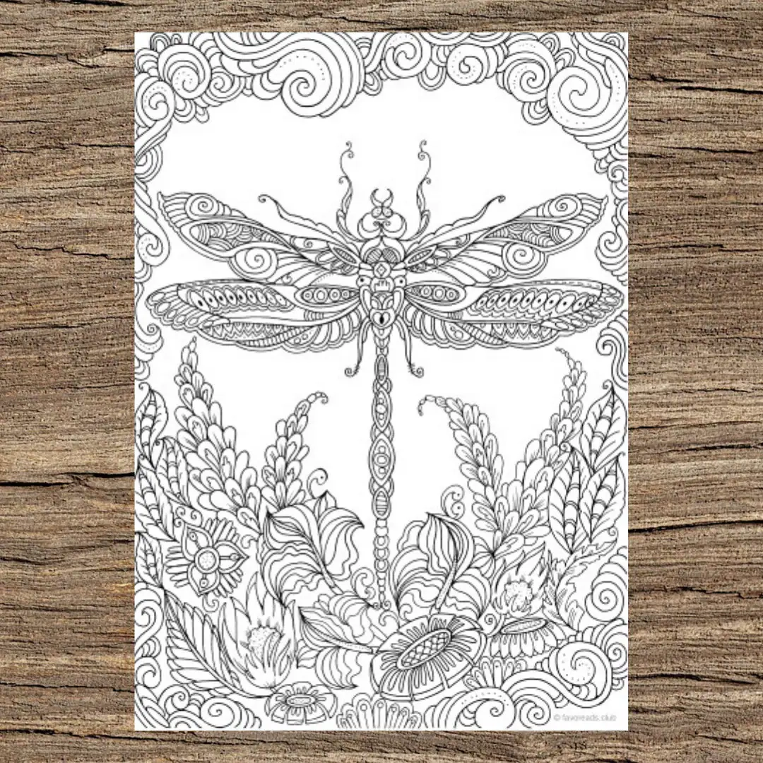 Dragonfly Printable Adult Coloring Page From Favoreads coloring Book Pages For Adults And Kids Coloring Sheets Coloring Designs Etsy UK