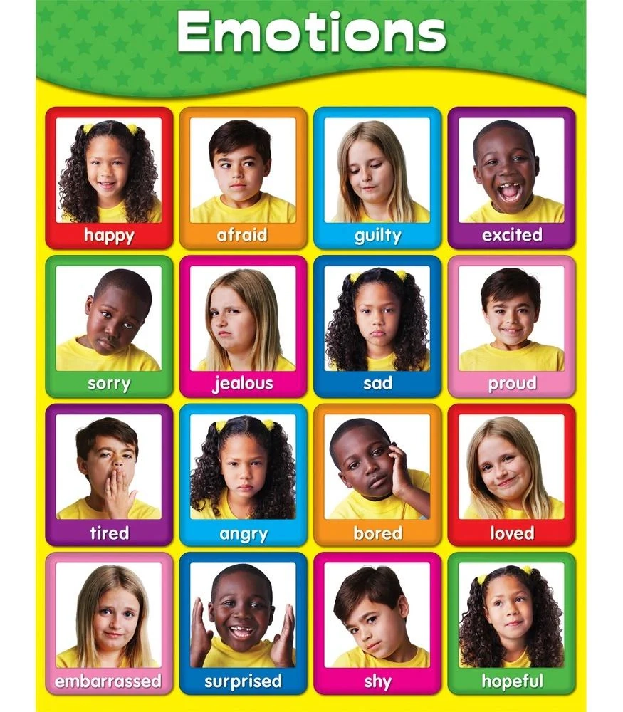 Emotions Poster Classroom Tools Special Education Autism Community Store