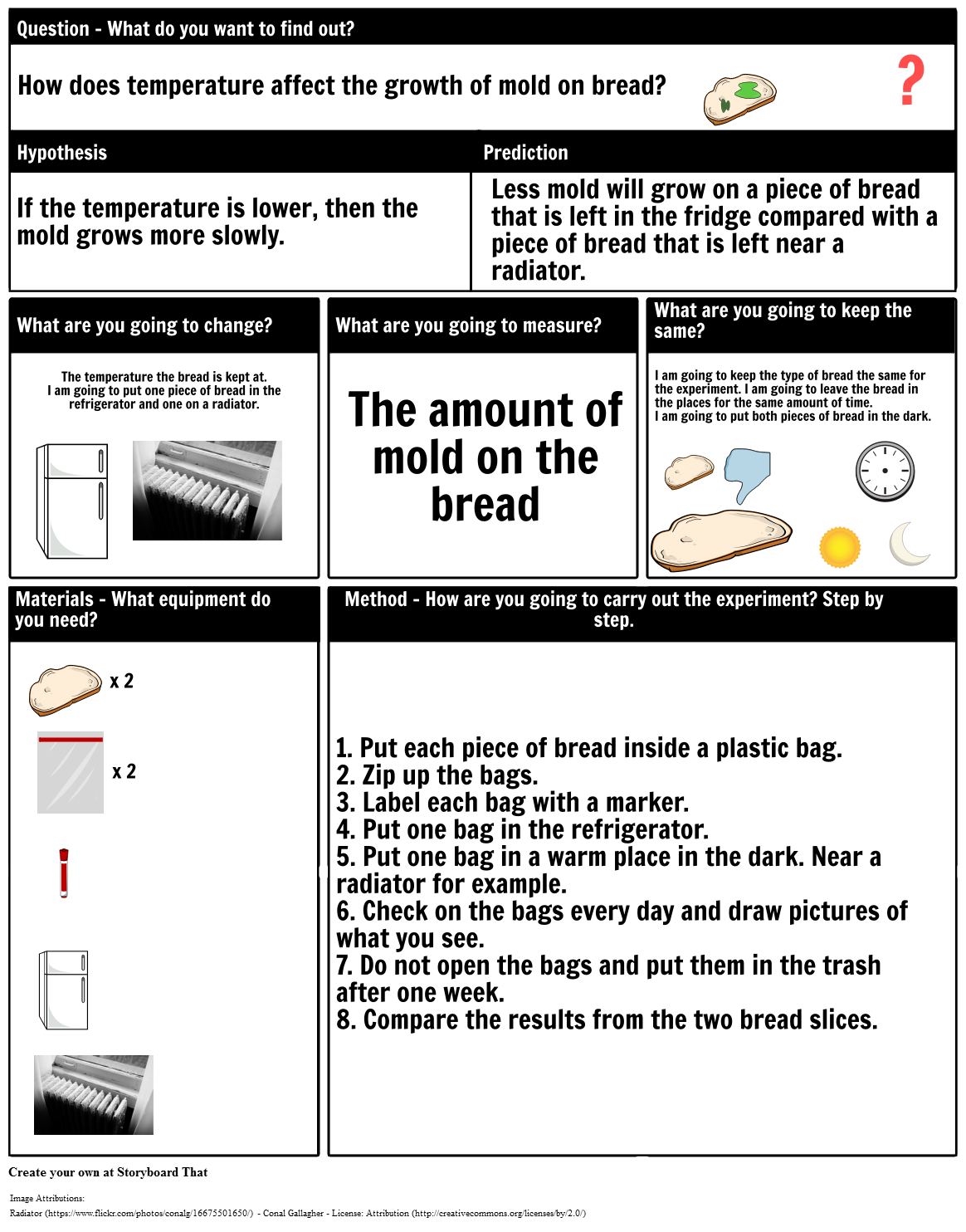 Experimental Design Steps Activities Scientific Method Steps Worksheets Library