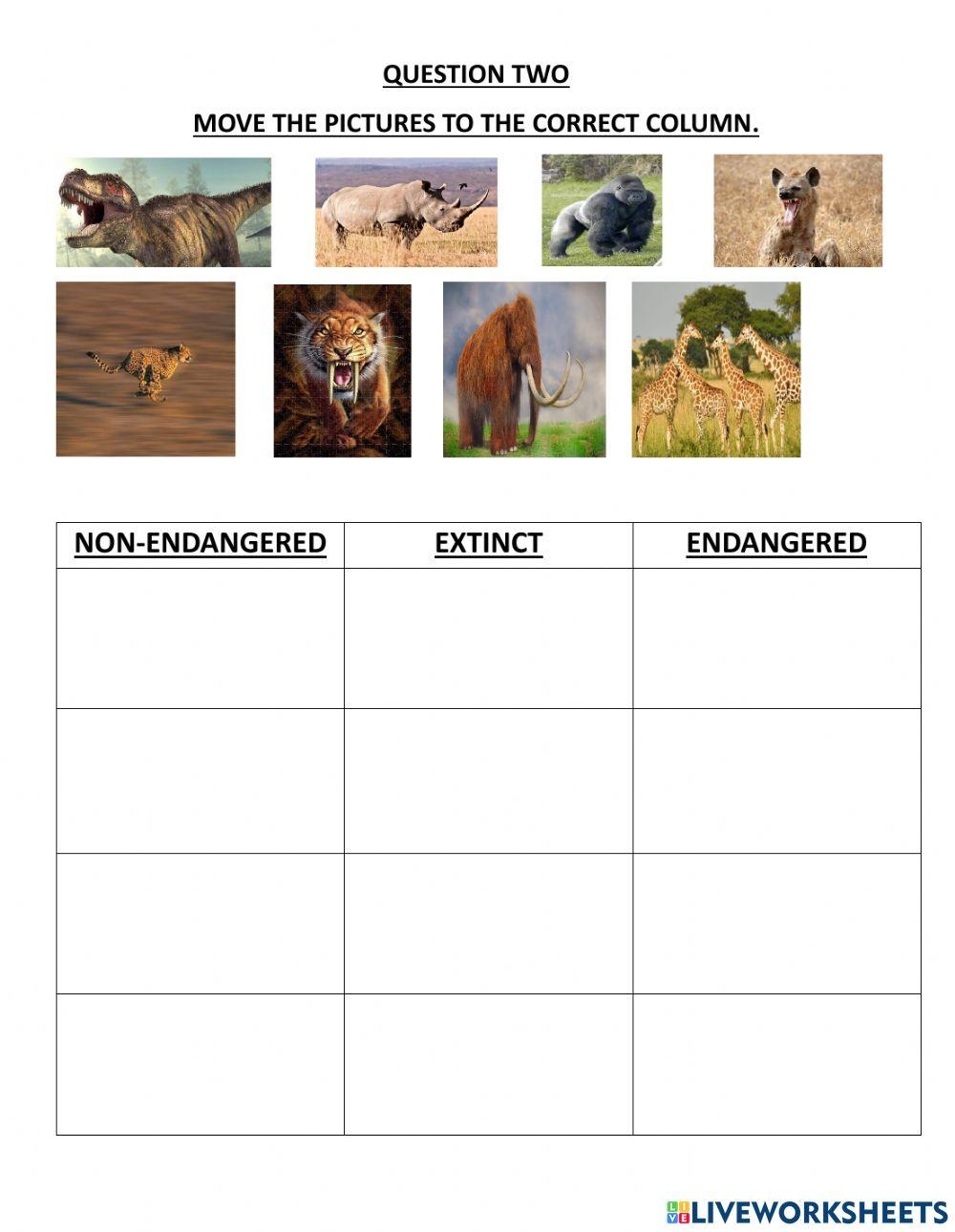 Extinct Or Enda Free Interactive Worksheets 2275235