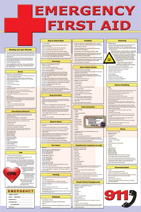 First Aid Posters