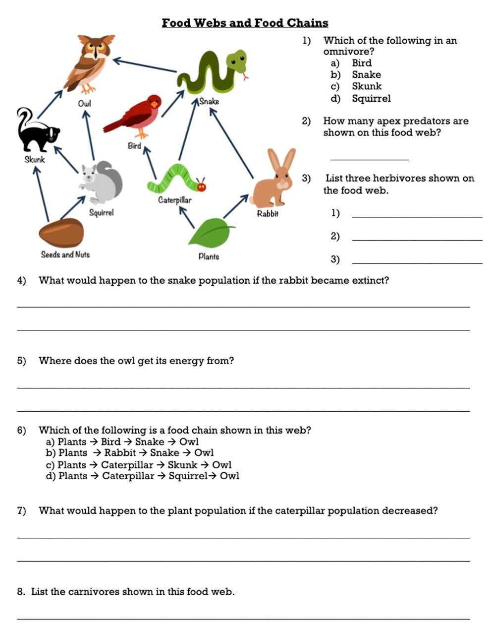 Food Webs And Food Chains Worksheets Free Pintables Worksheets 