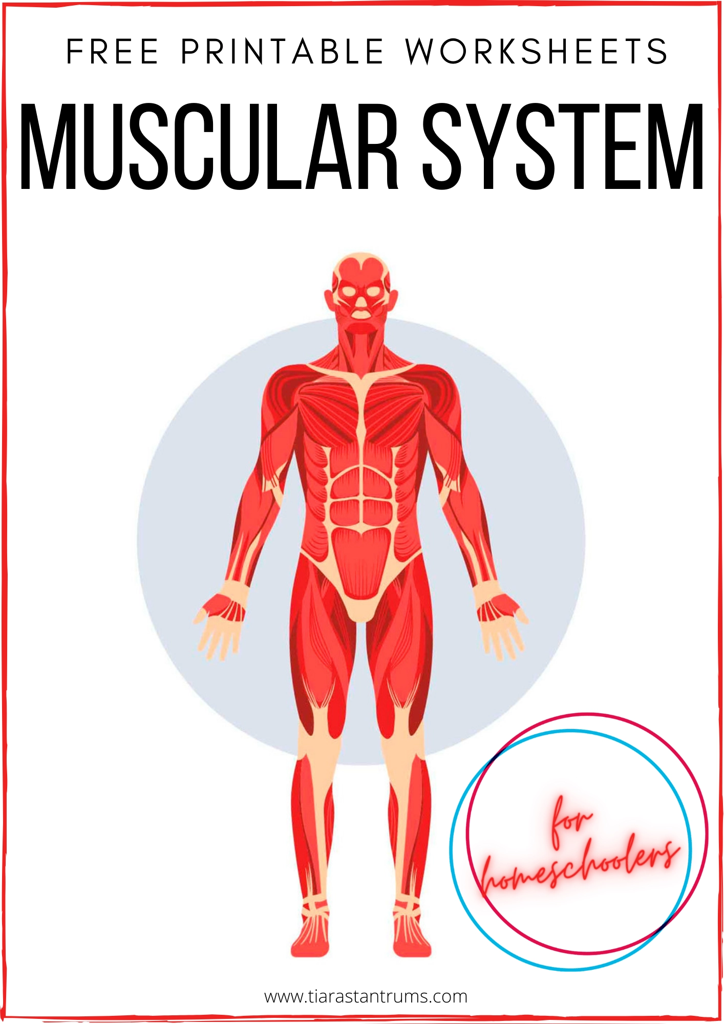 FREE Muscular System Worksheets Printable Tiaras Tantrums