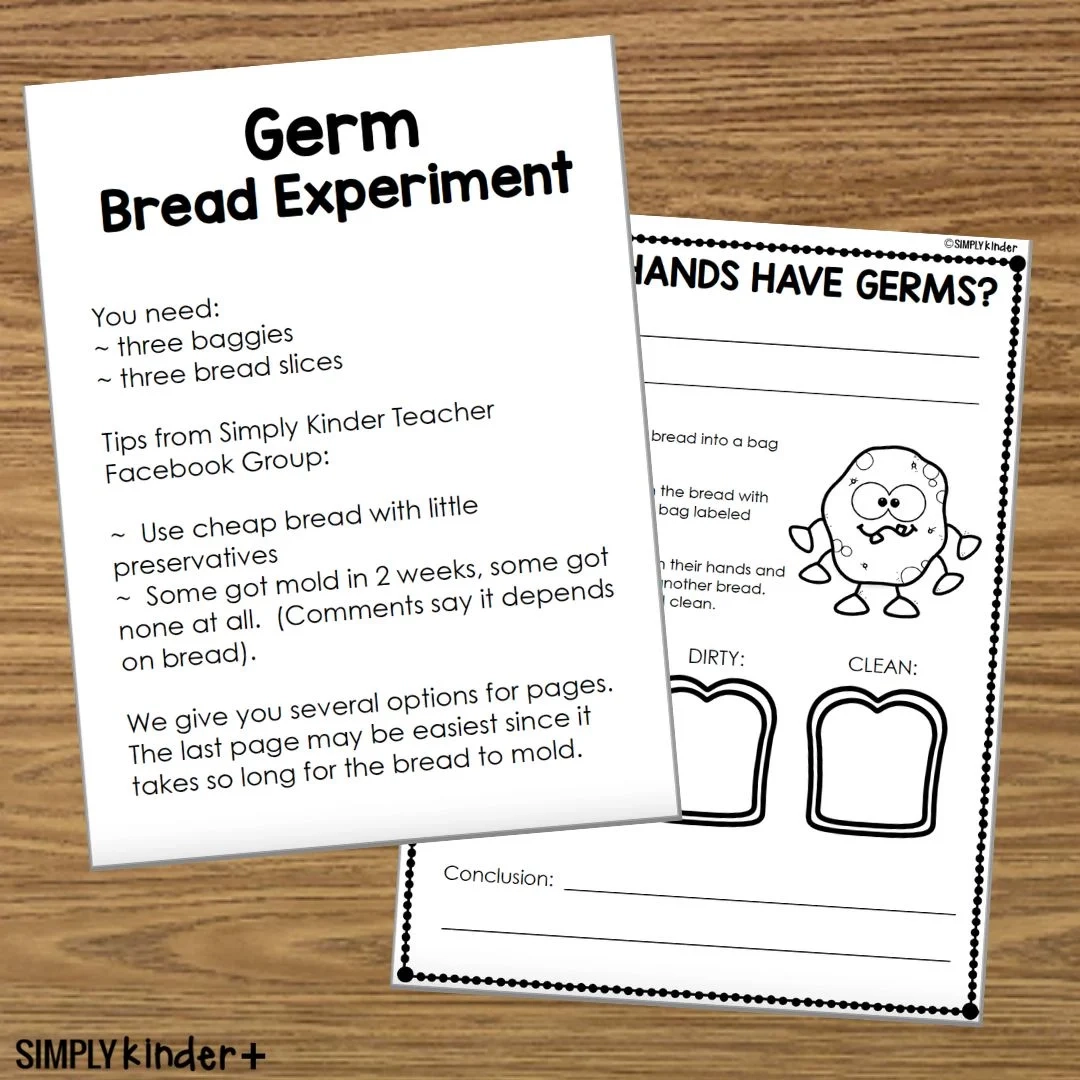 Printable Science Bread Mold Experiment Worksheet