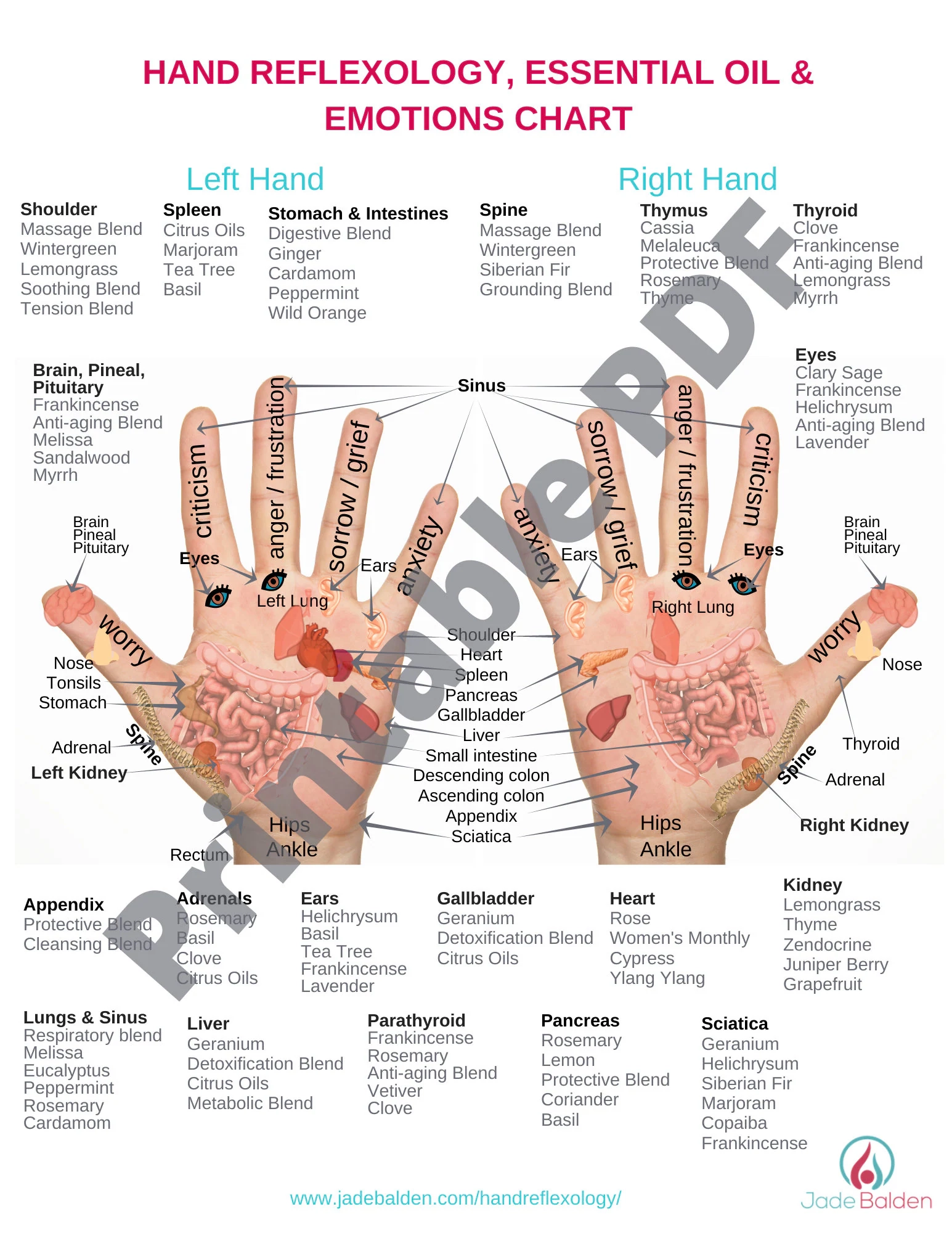 Hand Reflexology Map Printable