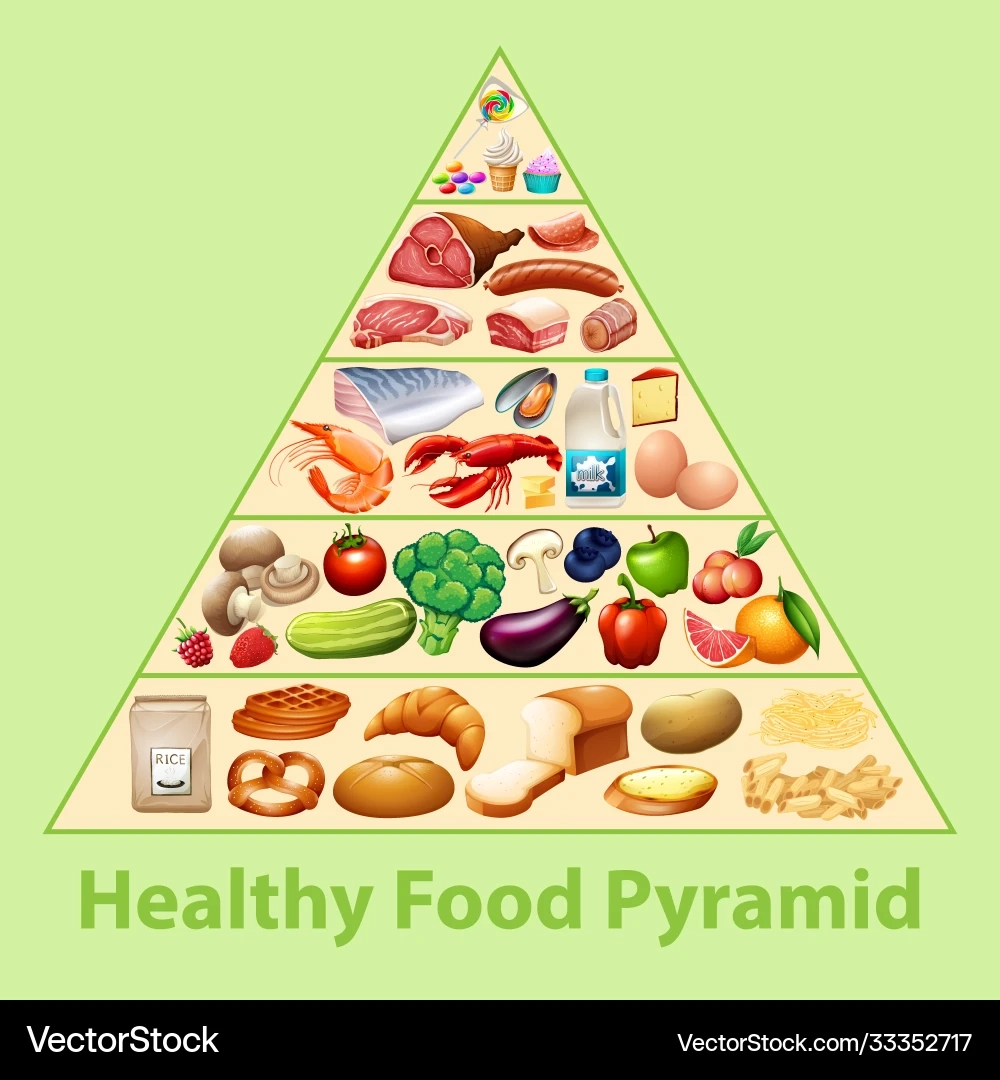 Healthy Food Pyramid Nutrition Chart Royalty Free Vector VectorStock
