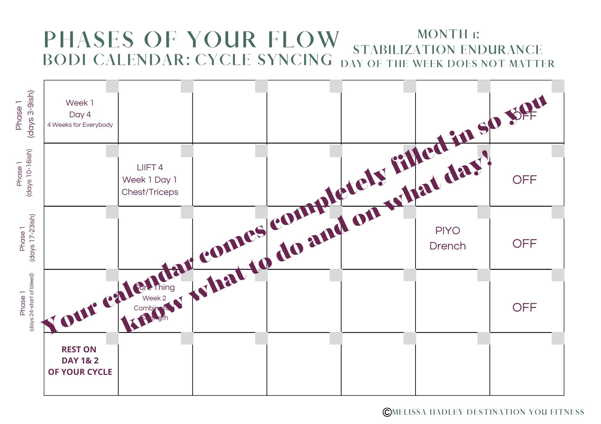 Hiit Liift4 With Resistance Bands Digital Bodi SYNC Calendar Cycle based Workout Wellness Hiit Liift4 With Resistance Bands Digital Bodi SYNC Calendar Cycle based Workout Wellness