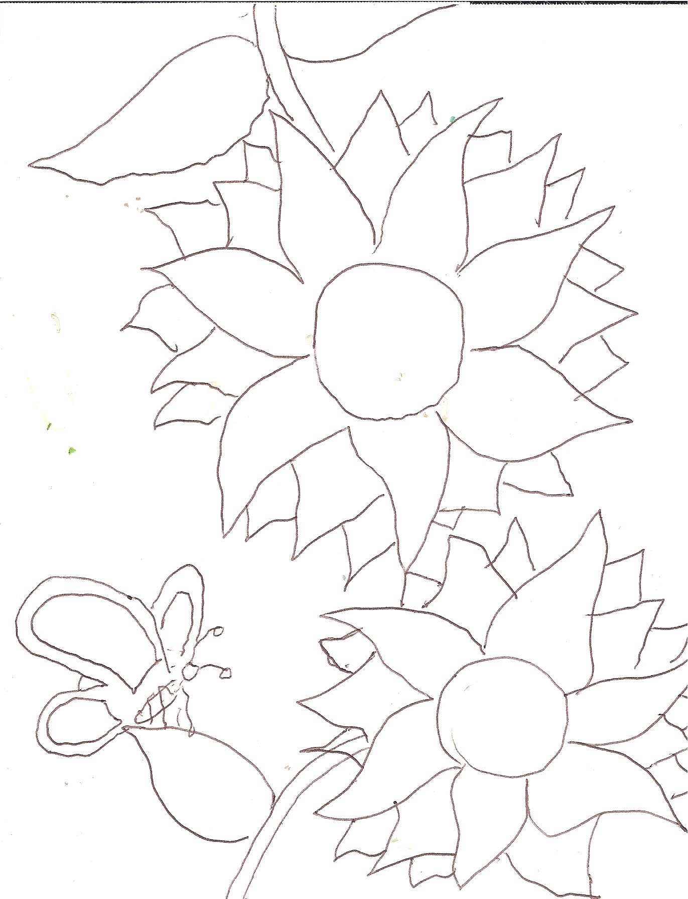 Printable Mola Coloring Sheets