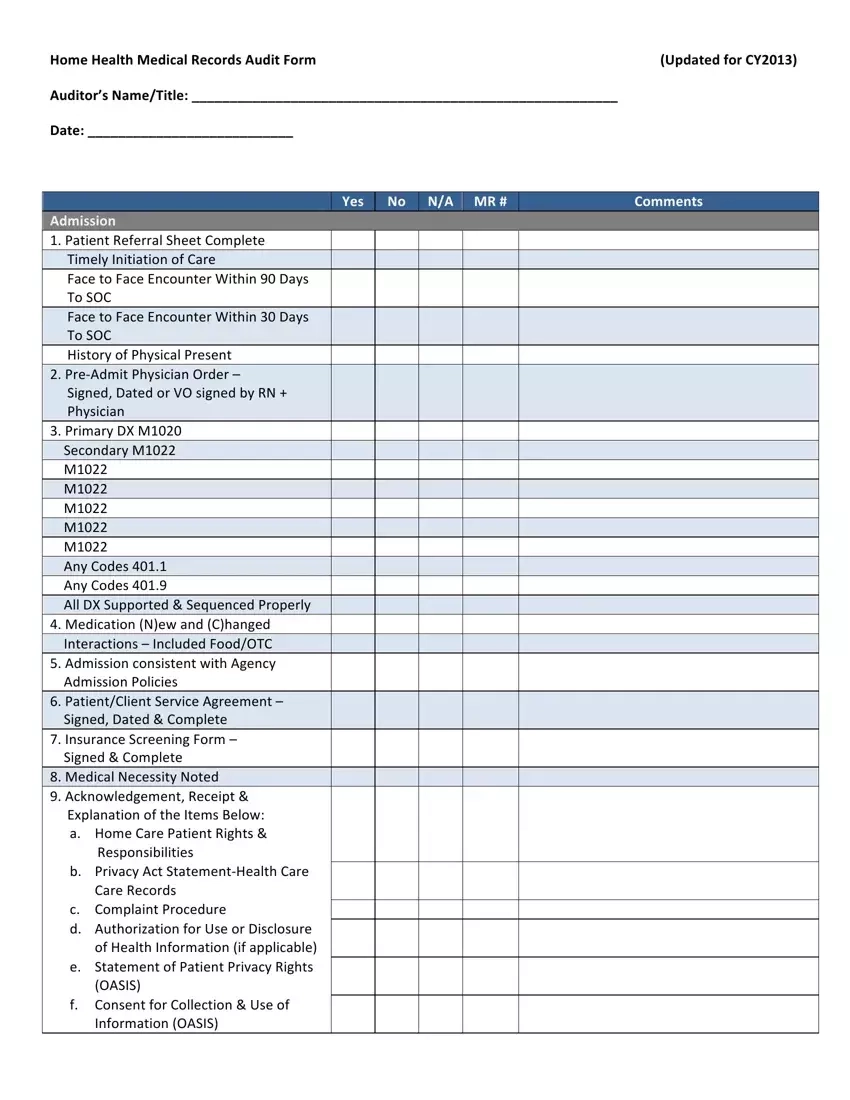 Printable Medical Chart Audit Template