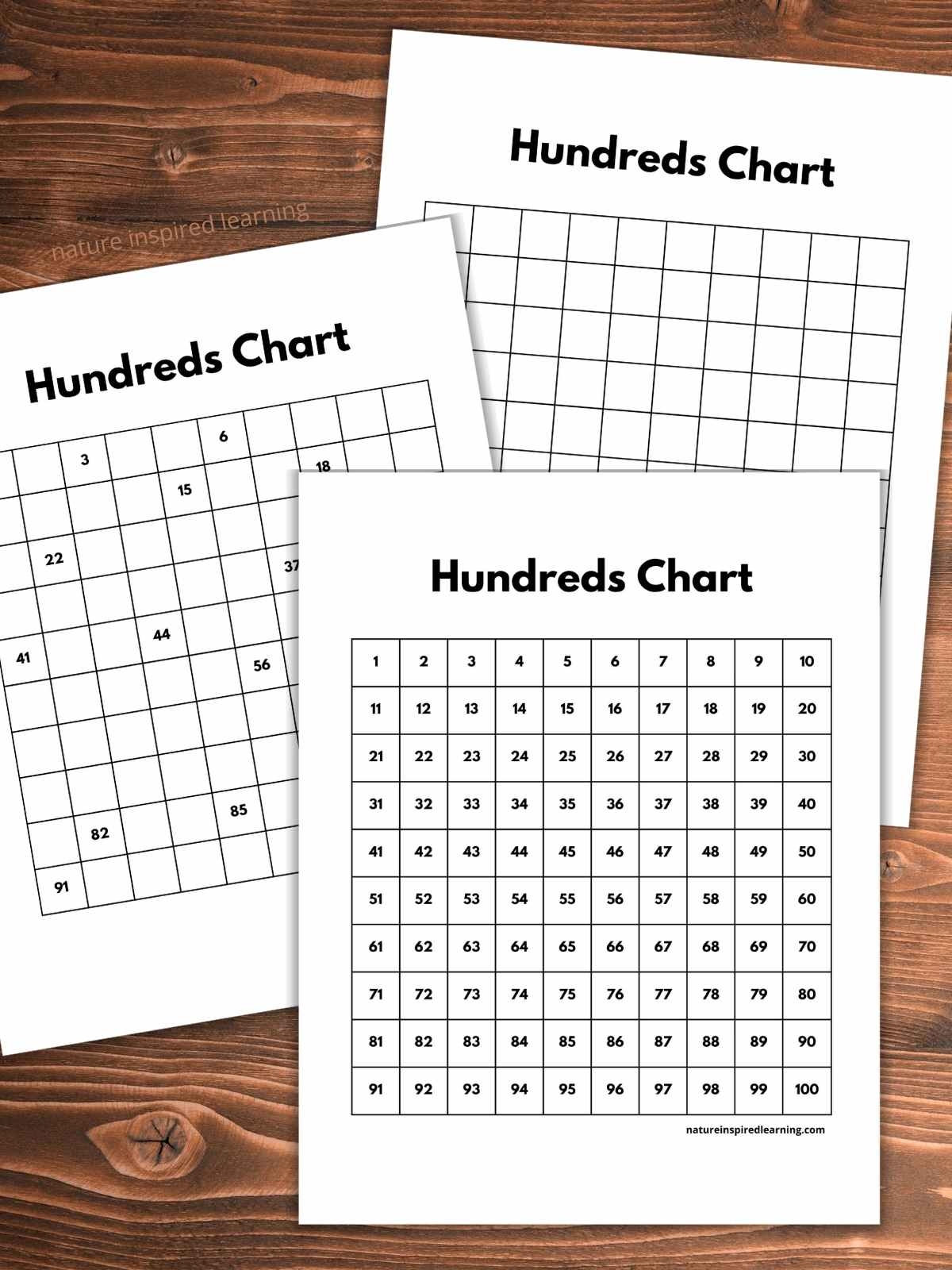 Printable Hundred Number Chart