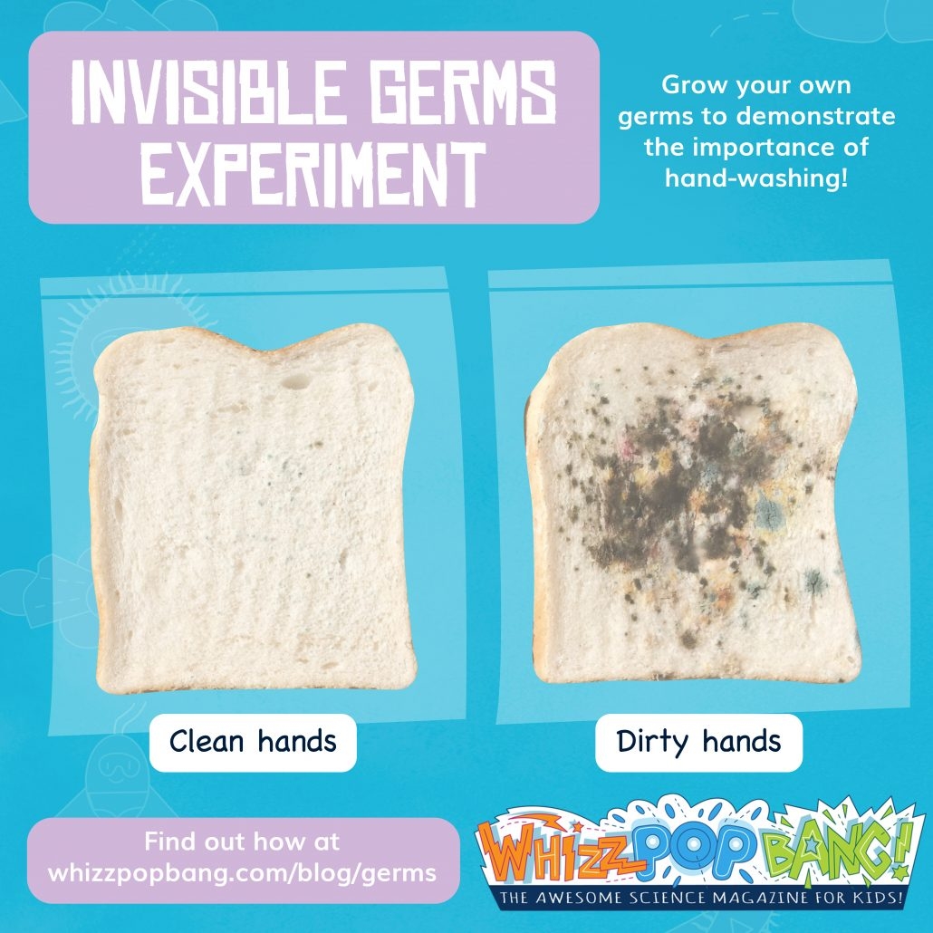 Invisible Germs Experiment Whizz Pop Bang Blog