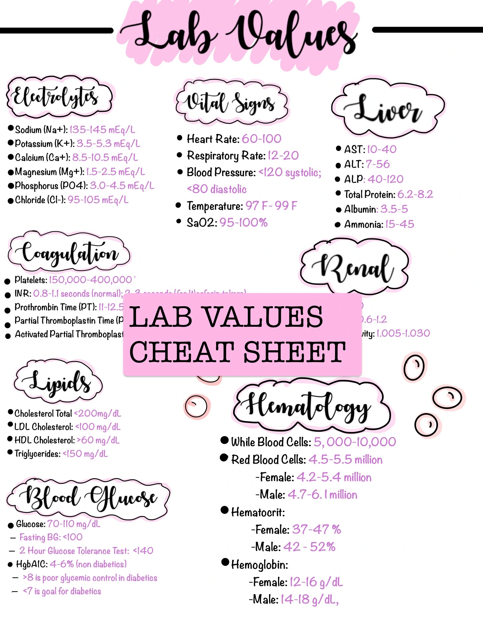 Lab Values Cheat Sheet Nursing Notes NCLEX Review Mark Klimek Lecture Notes Prioritization Etsy Hong Kong