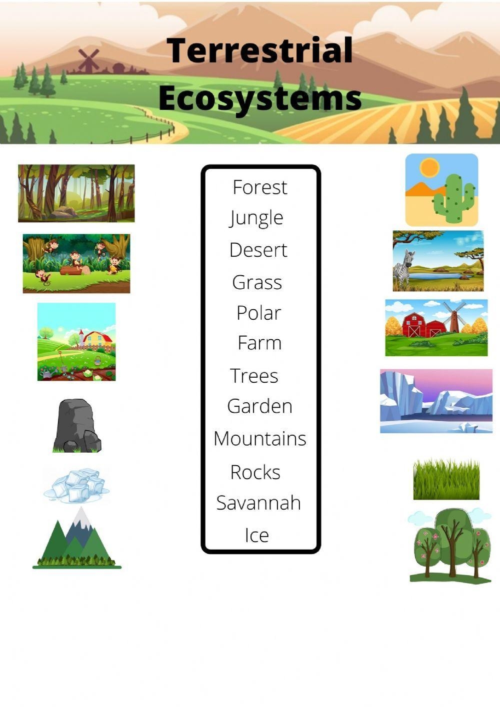 Levels Of Ecological Organization Worksheets Free Printable Levels Of Ecological Organization Worksheets Free Printable