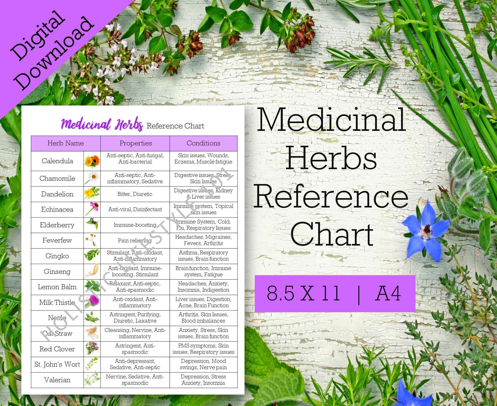 Free Printable Medicinal Herb Chart