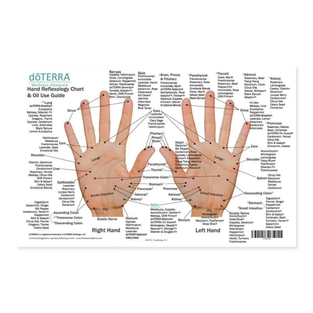 Hand Reflexology Map Printable