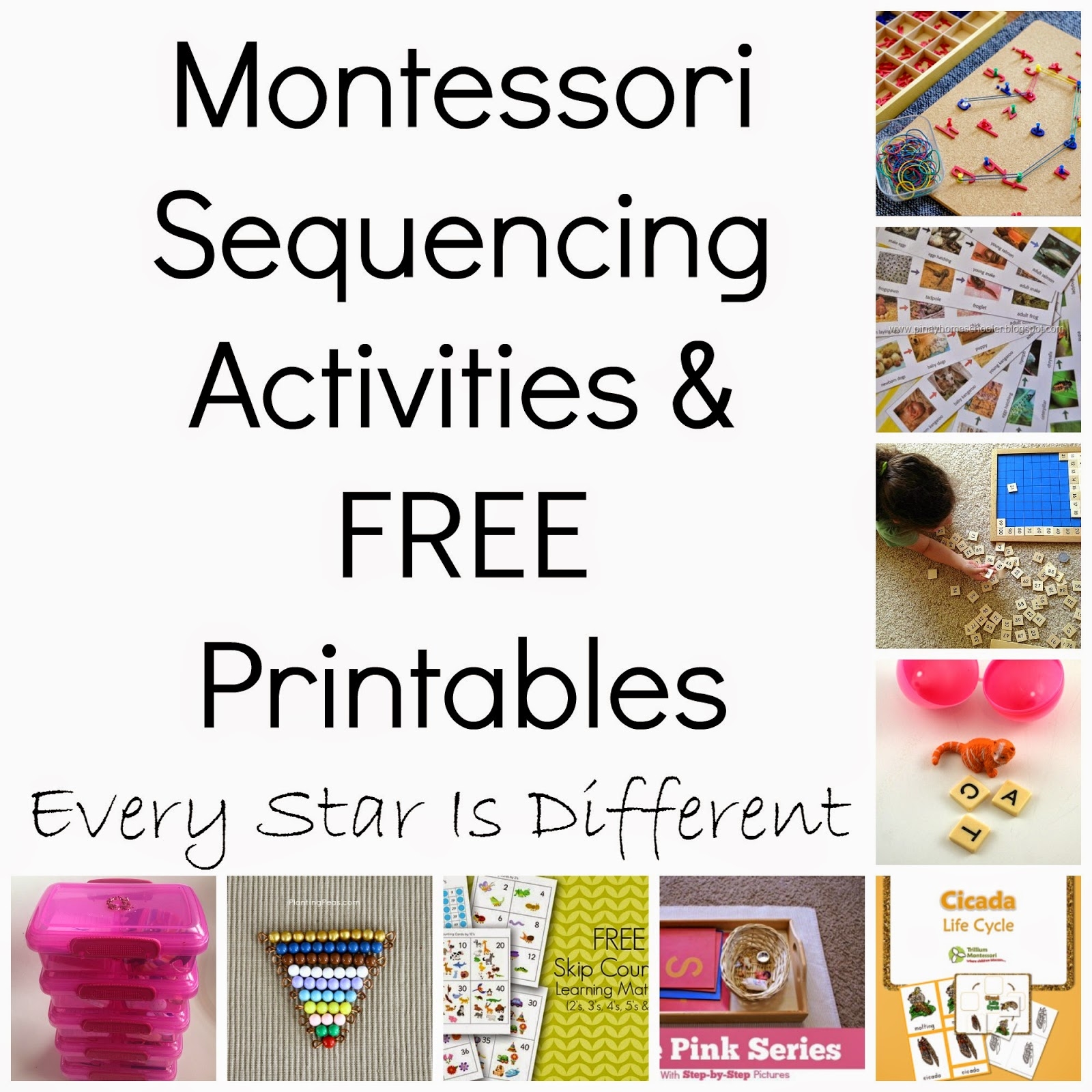 Montessori Free Printable Worksheets