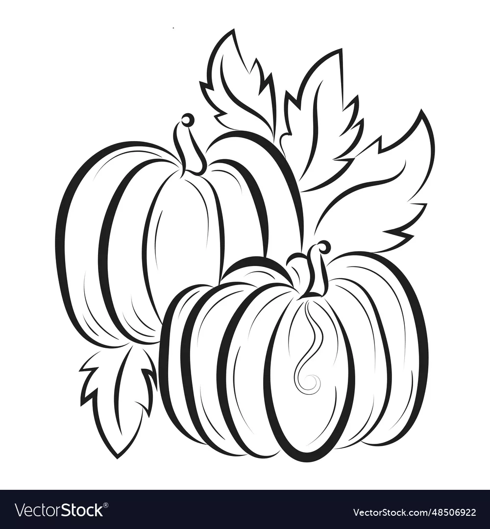 Printable Pumpkin Coloring Pages For Kids Vector Image Printable Pumpkin Coloring Pages For Kids Vector Image