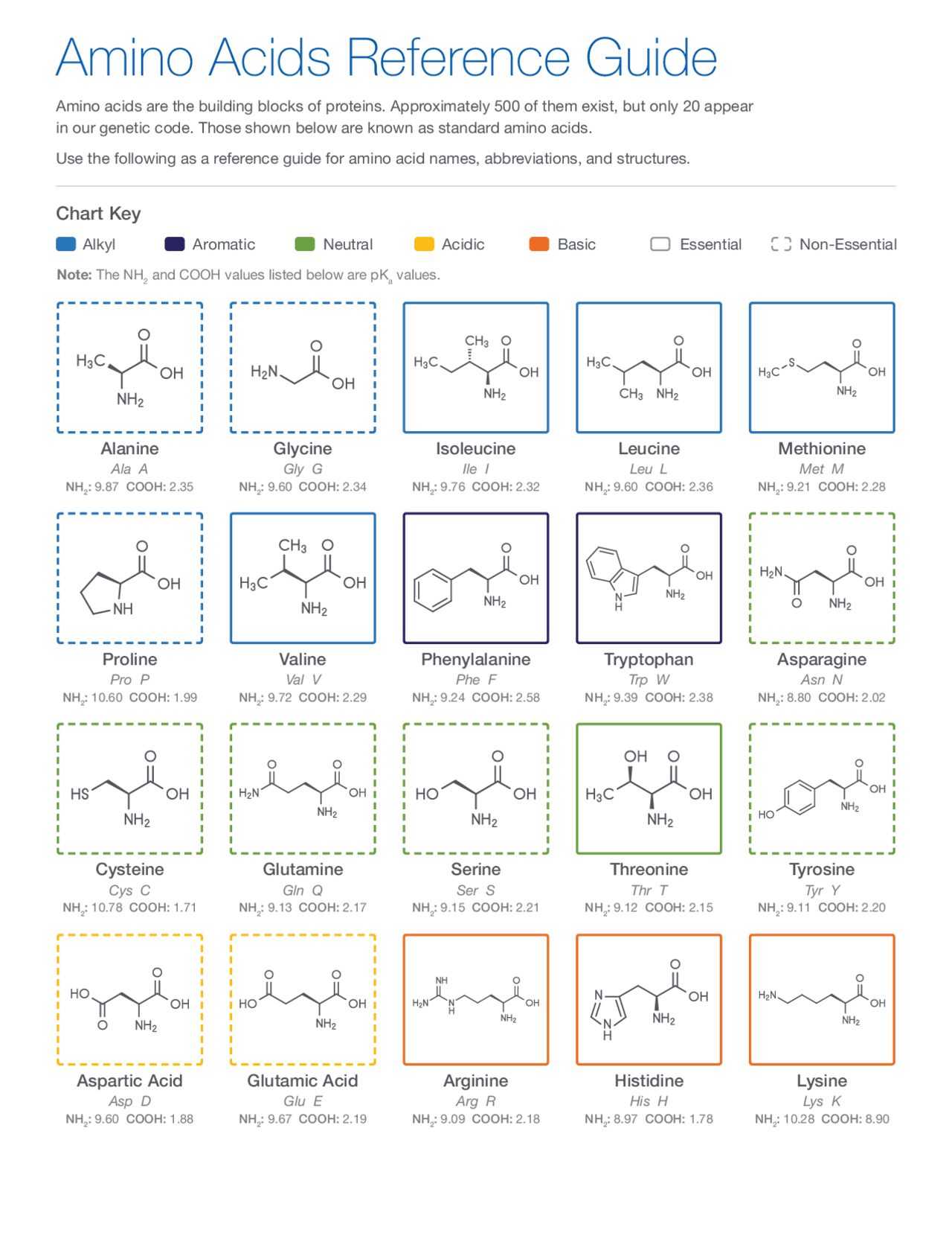 Printable Amino Acids Chart
