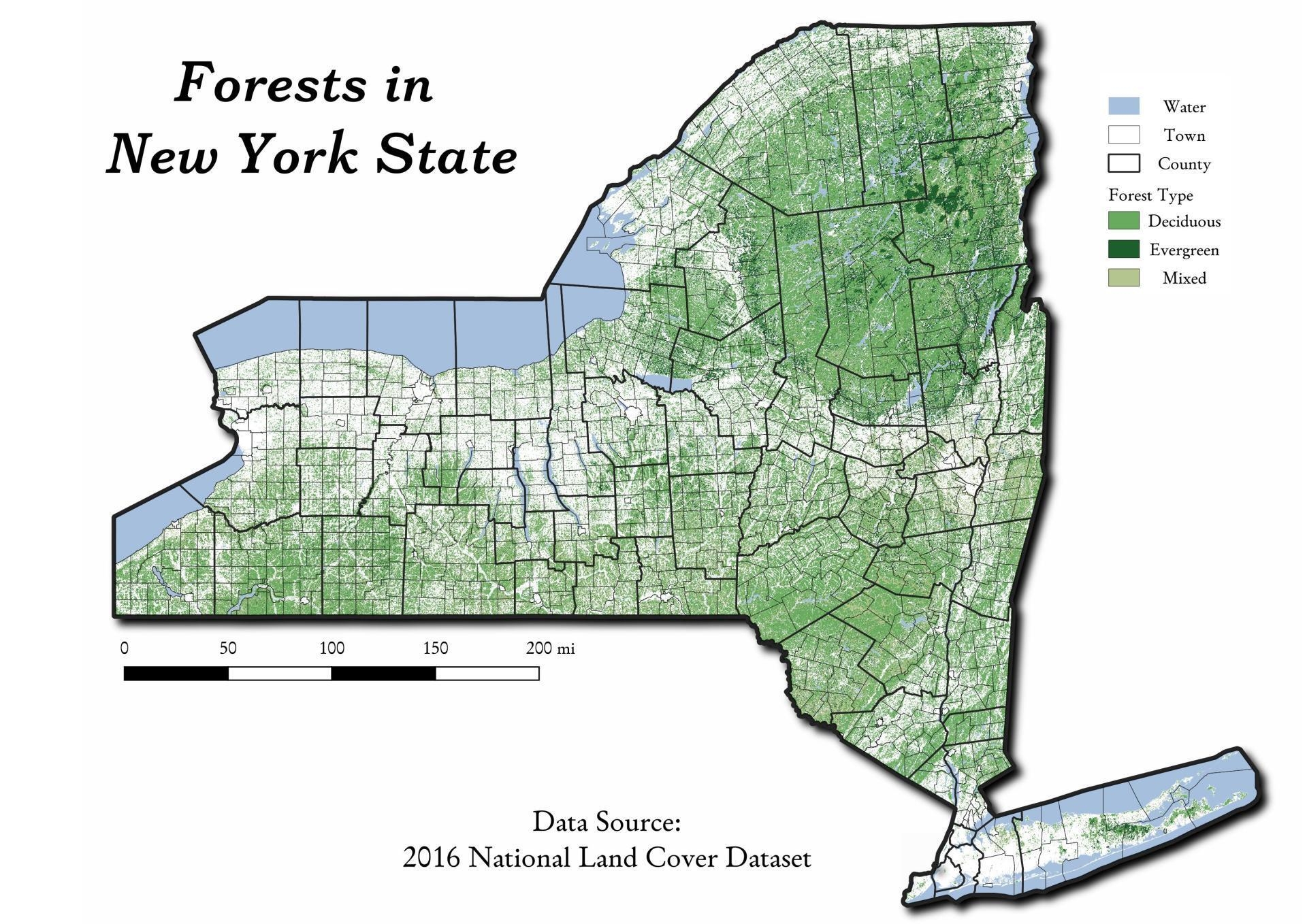 Thematic Map Forests In New York State Andy Arthur