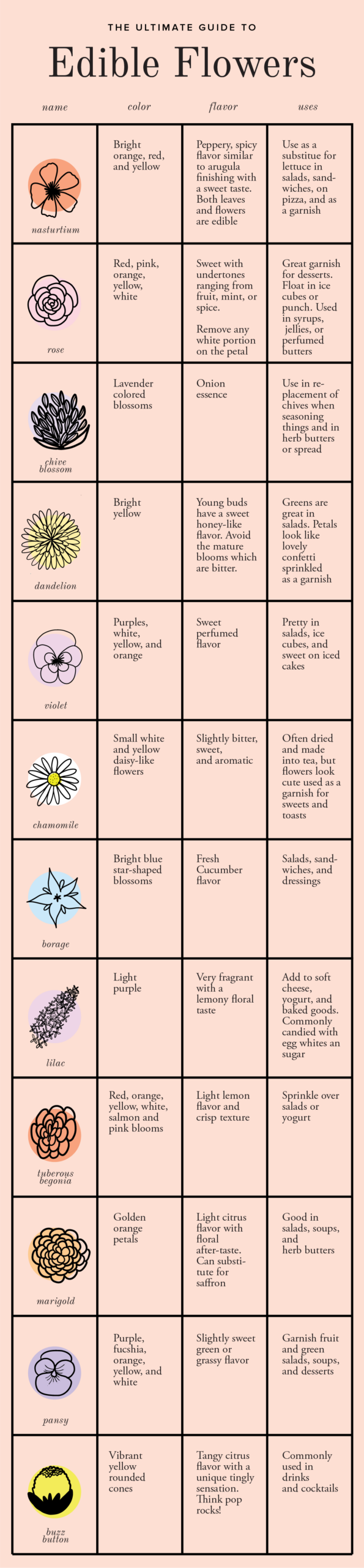 Printable Edible Plants Chart