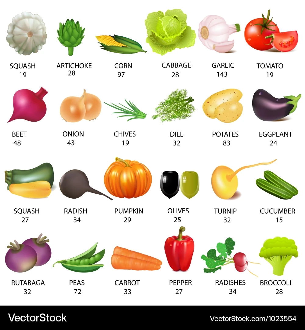 Vegetable Calories Chart Royalty Free Vector VectorStock