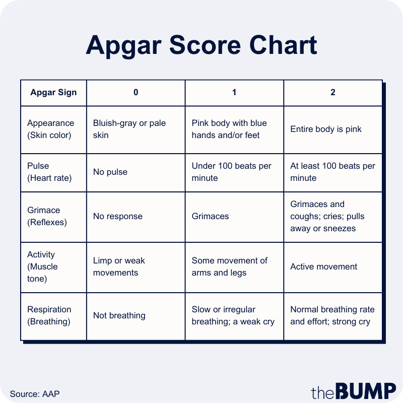 What Is The Apgar Test And Score 