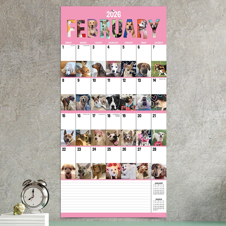 2026 Dog A Day Wall Calendar TF Publishing Calendars Planners Journals Stationery