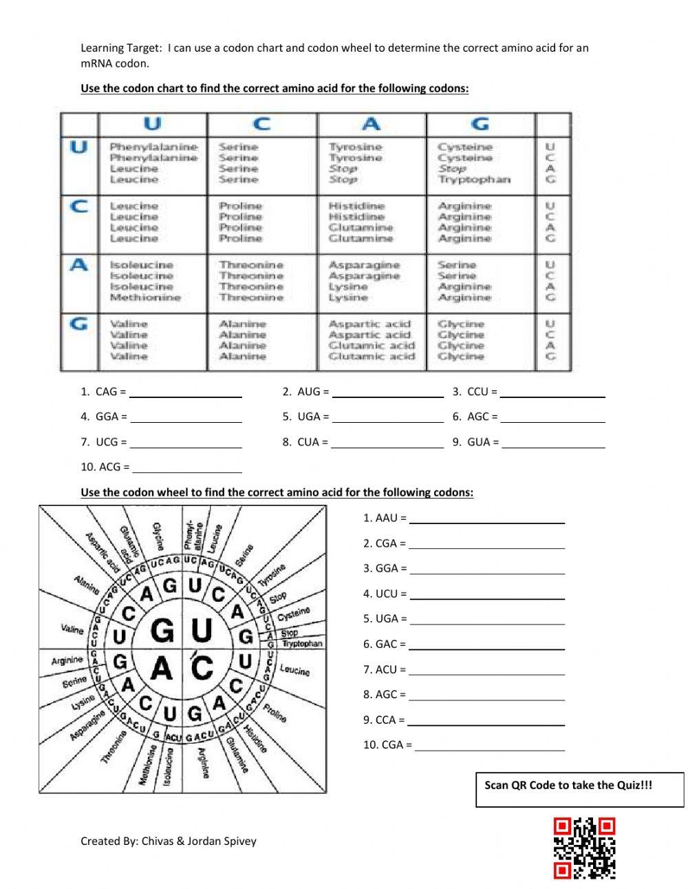 2307283 Codon Chart U0026 Codon Wheel Interactive Activity