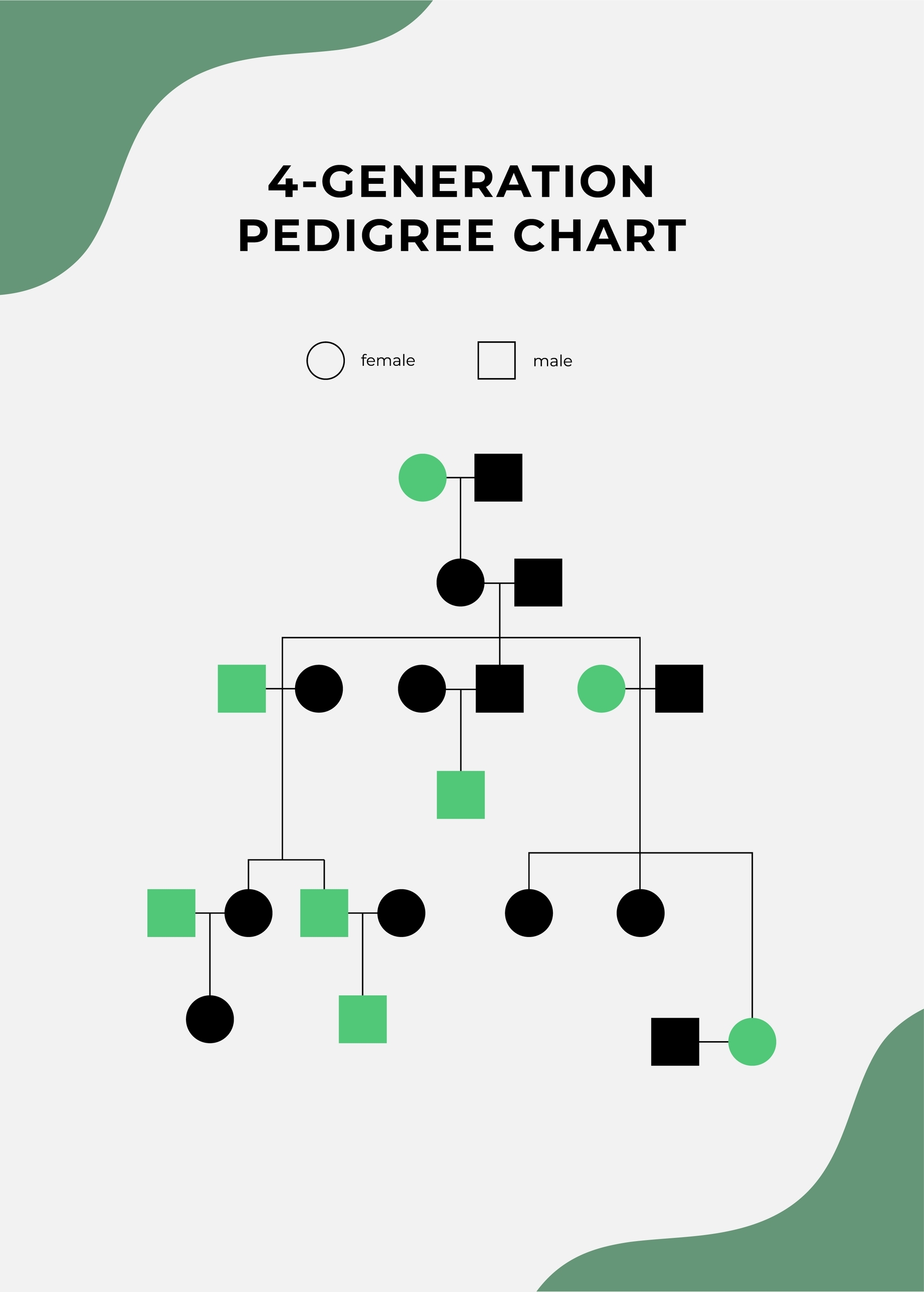 Printable 4 Generation Pedigree Chart