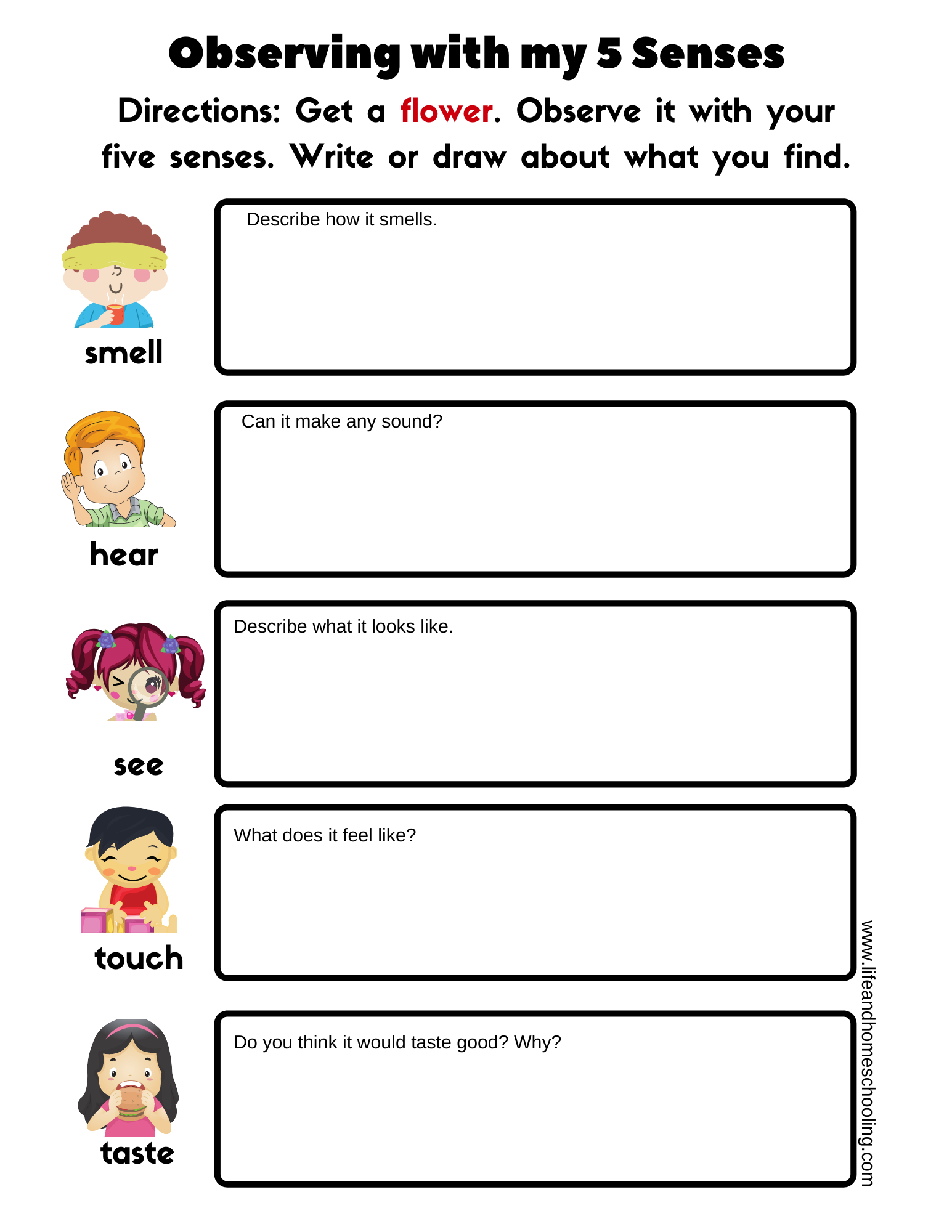 5 Senses Printable Worksheets Made By Teachers