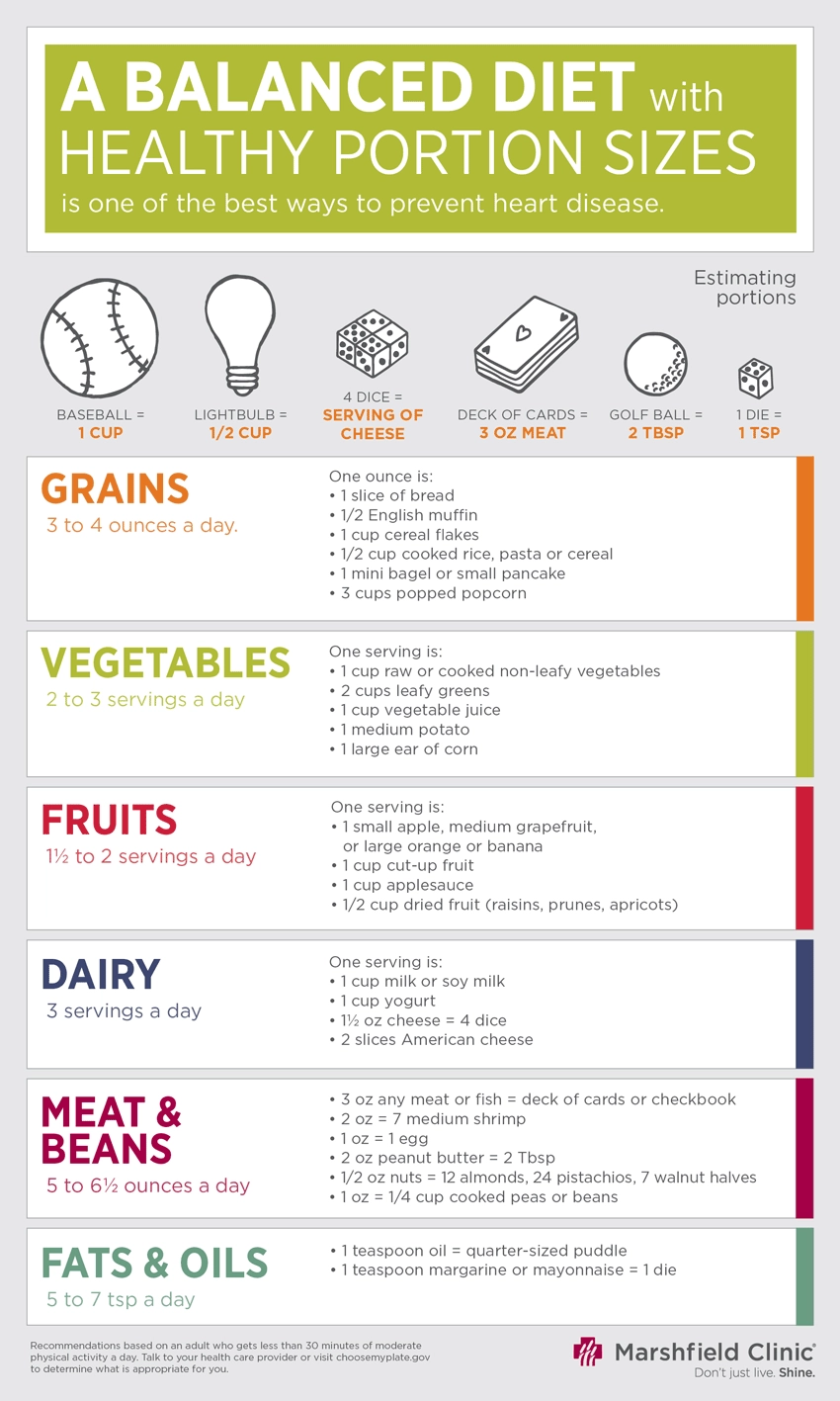 A Balanced Diet With Healthy Portions Infographic 
