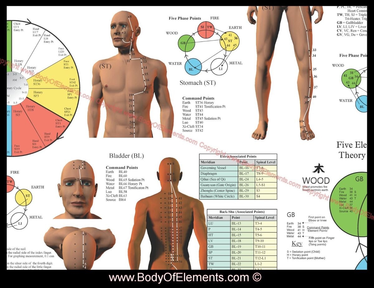 Acupuncture Meridian Points And Pathways Poster 18