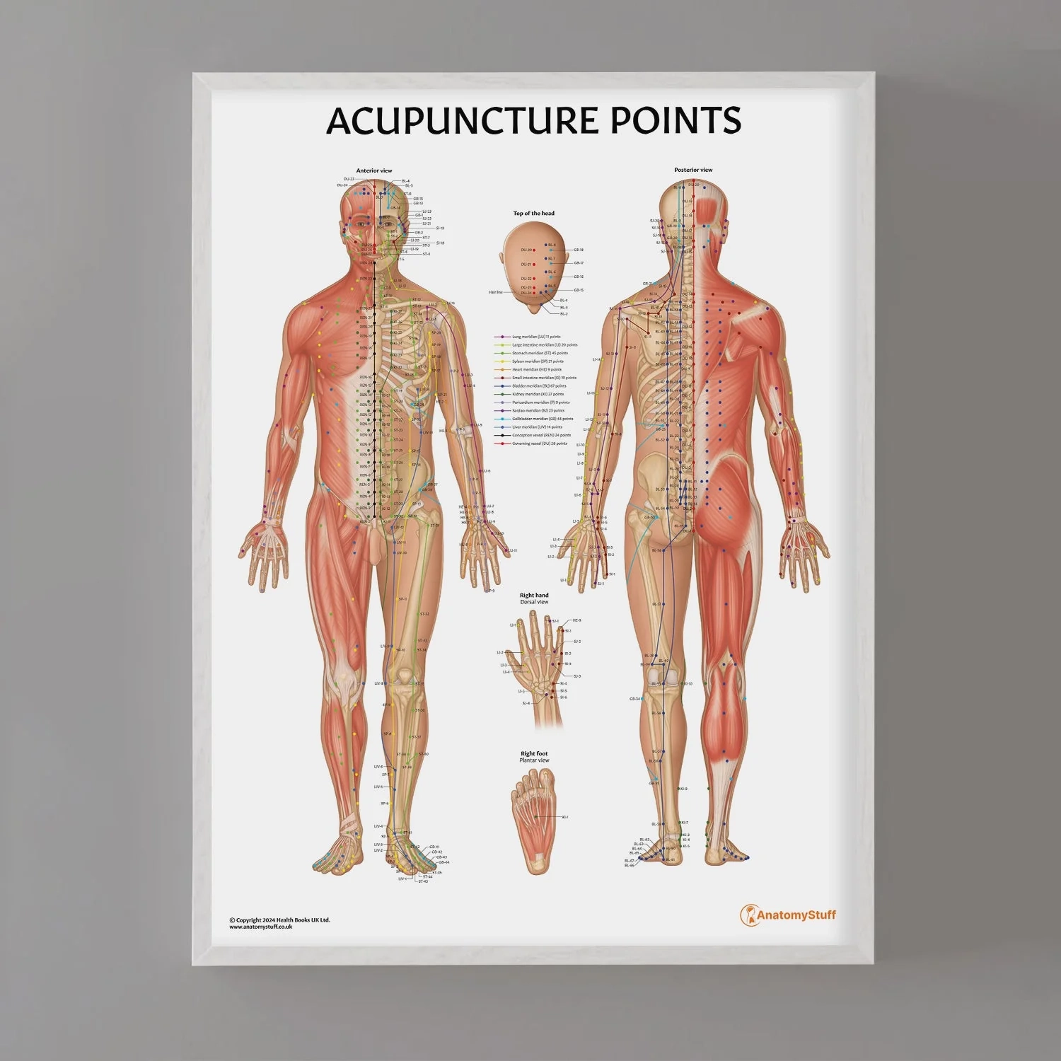 Printable Female Acupuncture Points Chart