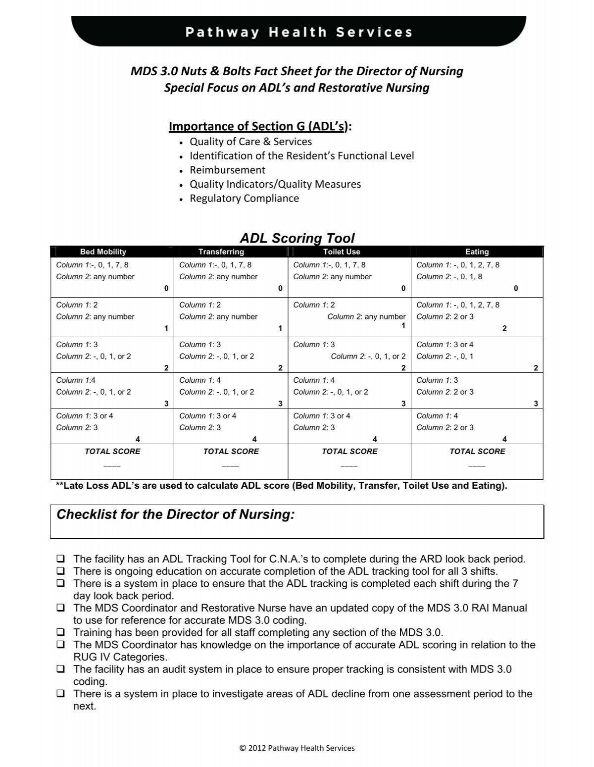 ADL Scoring Tool Checklist For The Director Of Nursing MDS 3 0 