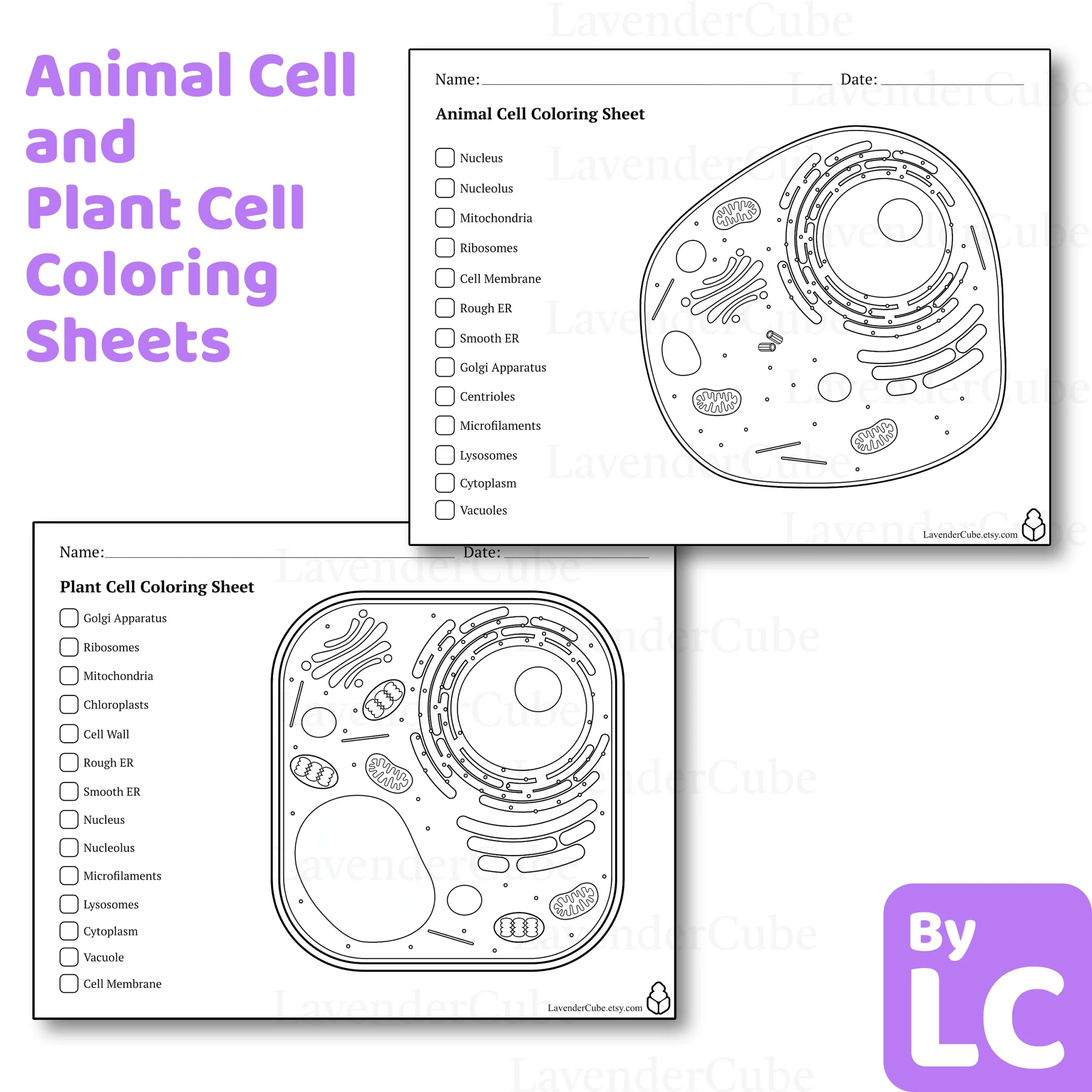 Animal And Plant Cell Coloring Worksheets Digital Download 300 Animal And Plant Cell Coloring Worksheets Digital Download 300