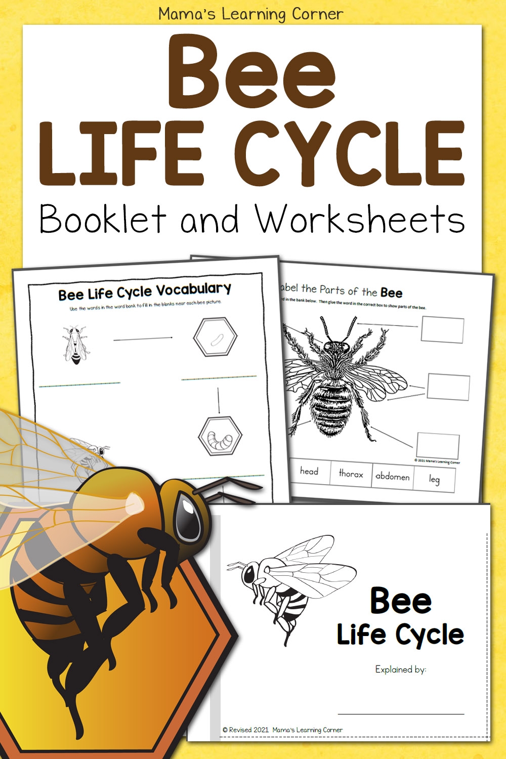 Free Printable Honey Bee Worksheets