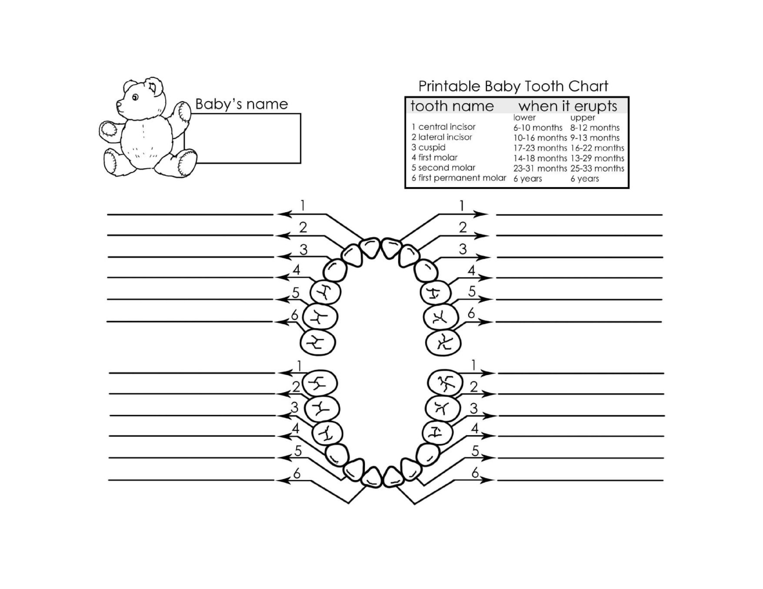 Printable Teething Chart Printable Teething Chart