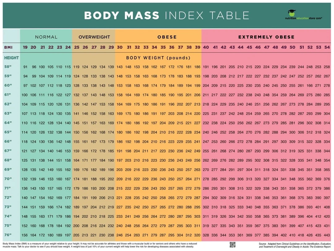 BMI Chart Poster Body Mass Index Poster 12