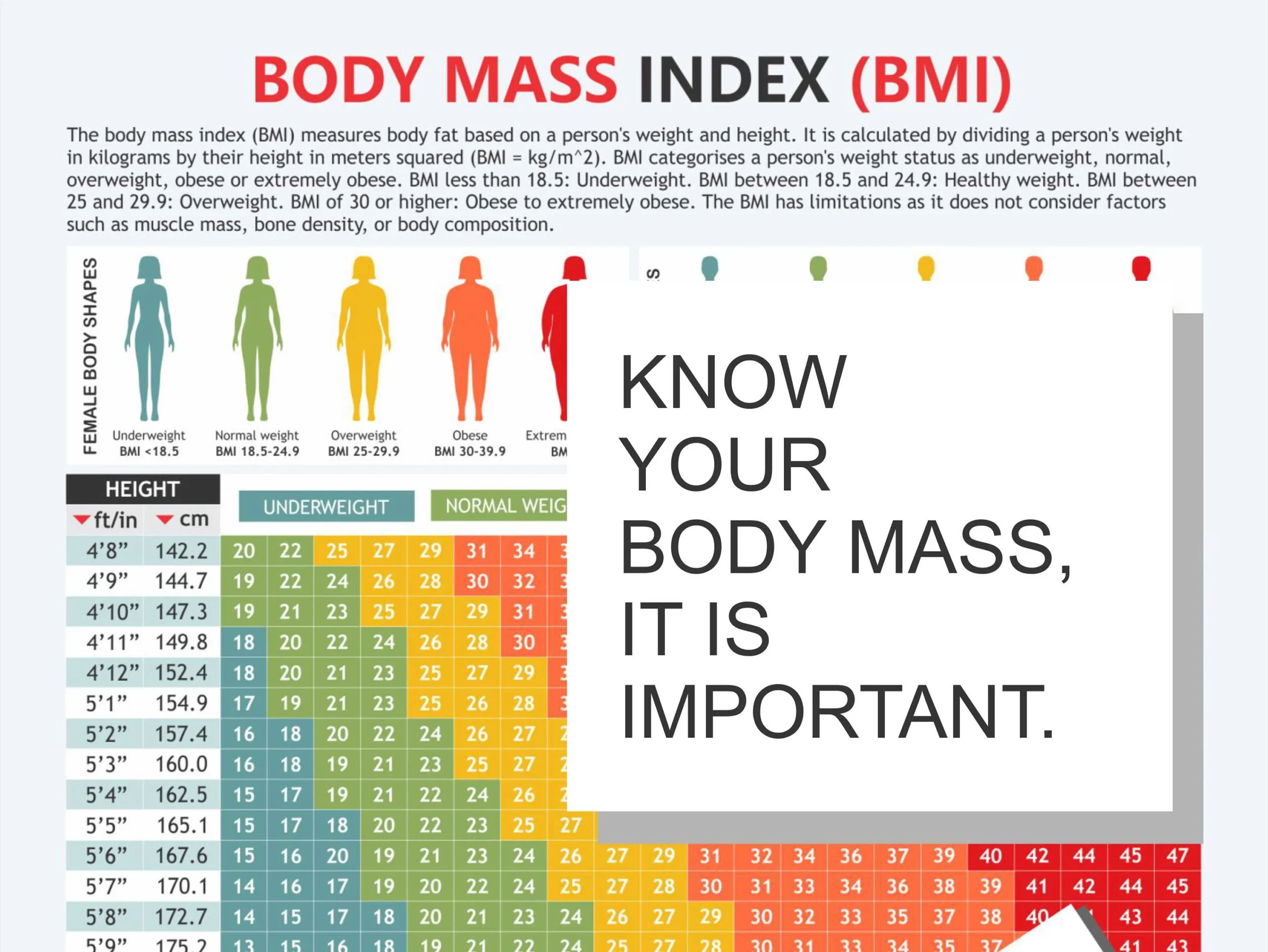 Printable Bmi Chart