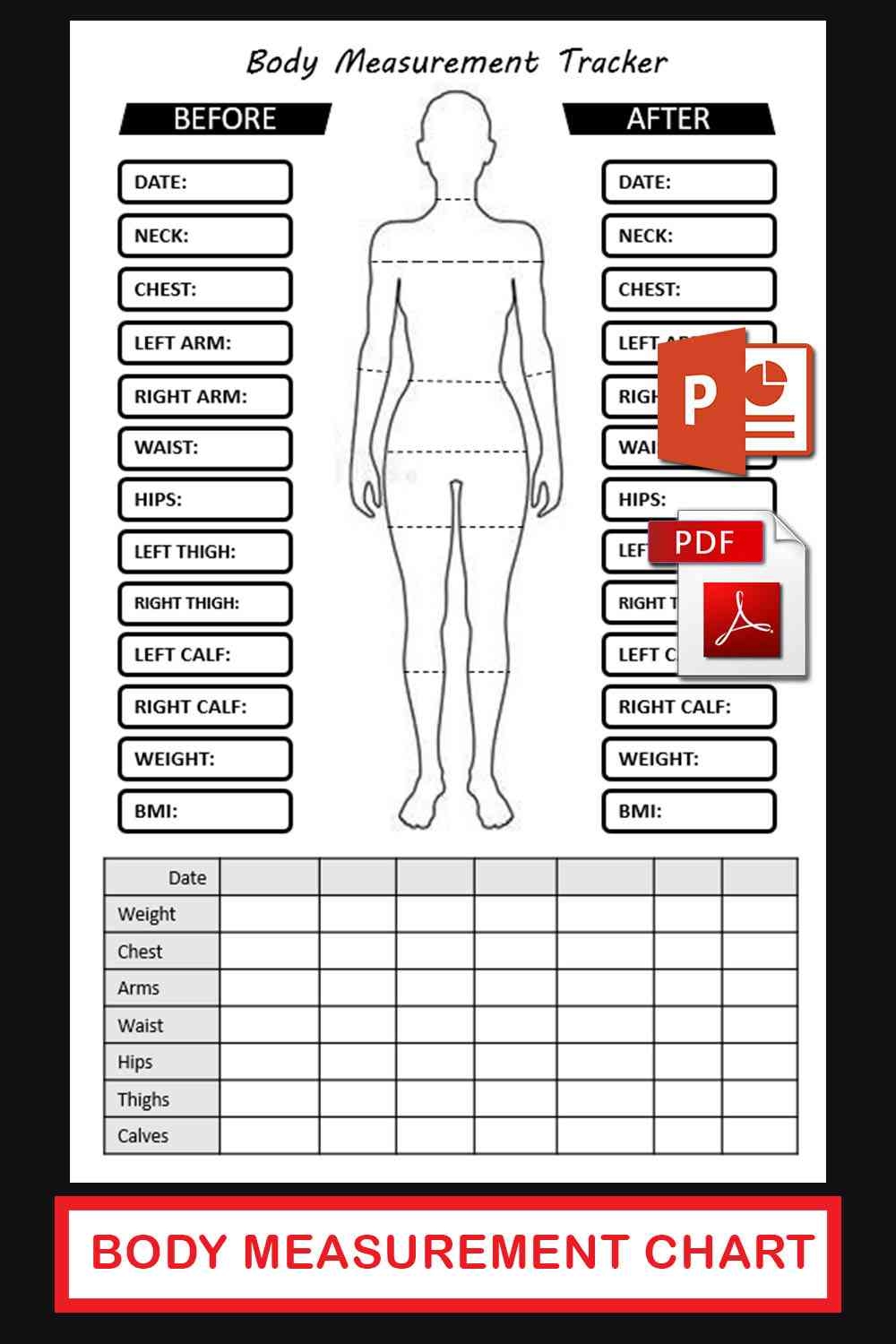 Body Size Chart Template
