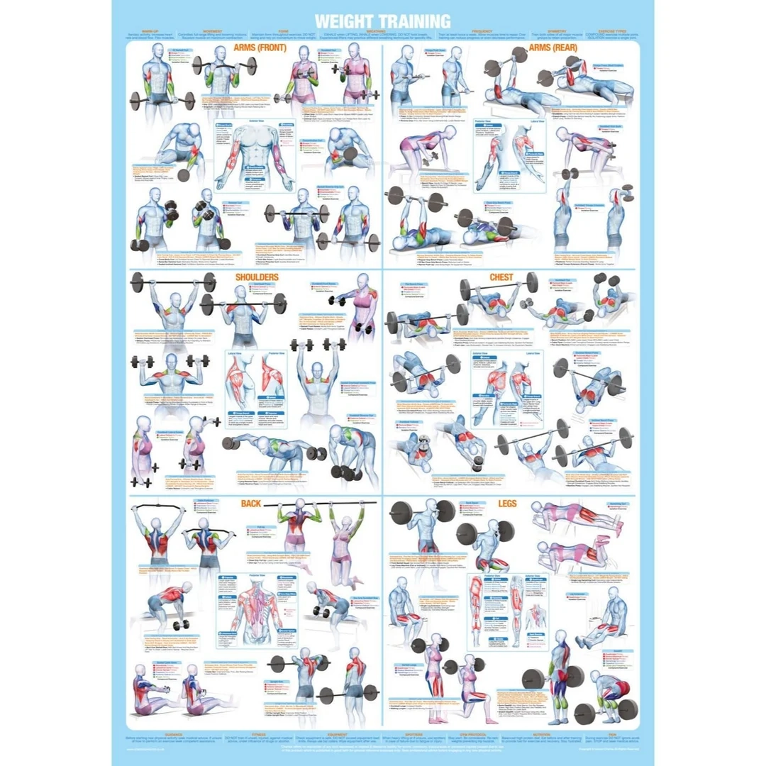 Body Workout Chart Total Gym Back Exercises Printable Total Gym Workout Cards Pdf Laminated Exercise Chart